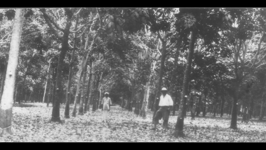 Labour control and labour resistance in the plantations of colonial Malaya